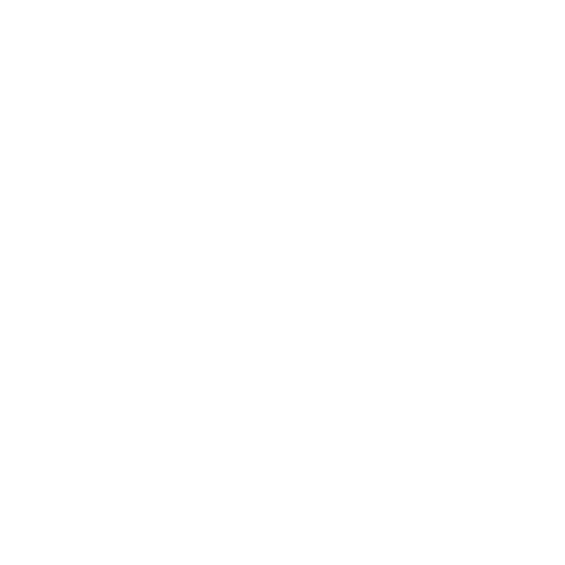 Random Icon